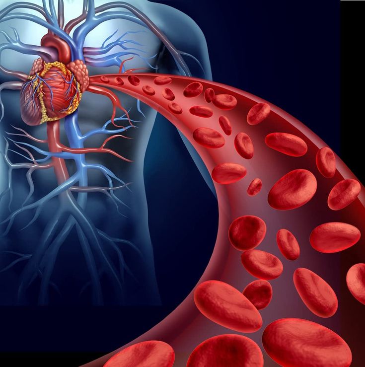 Blood Support